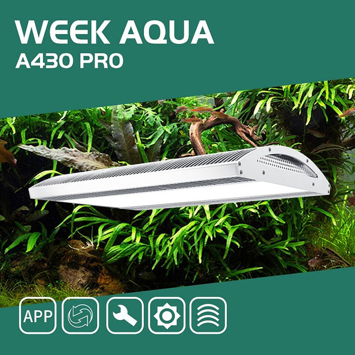 WEEK AQUA A430 PRO 120W