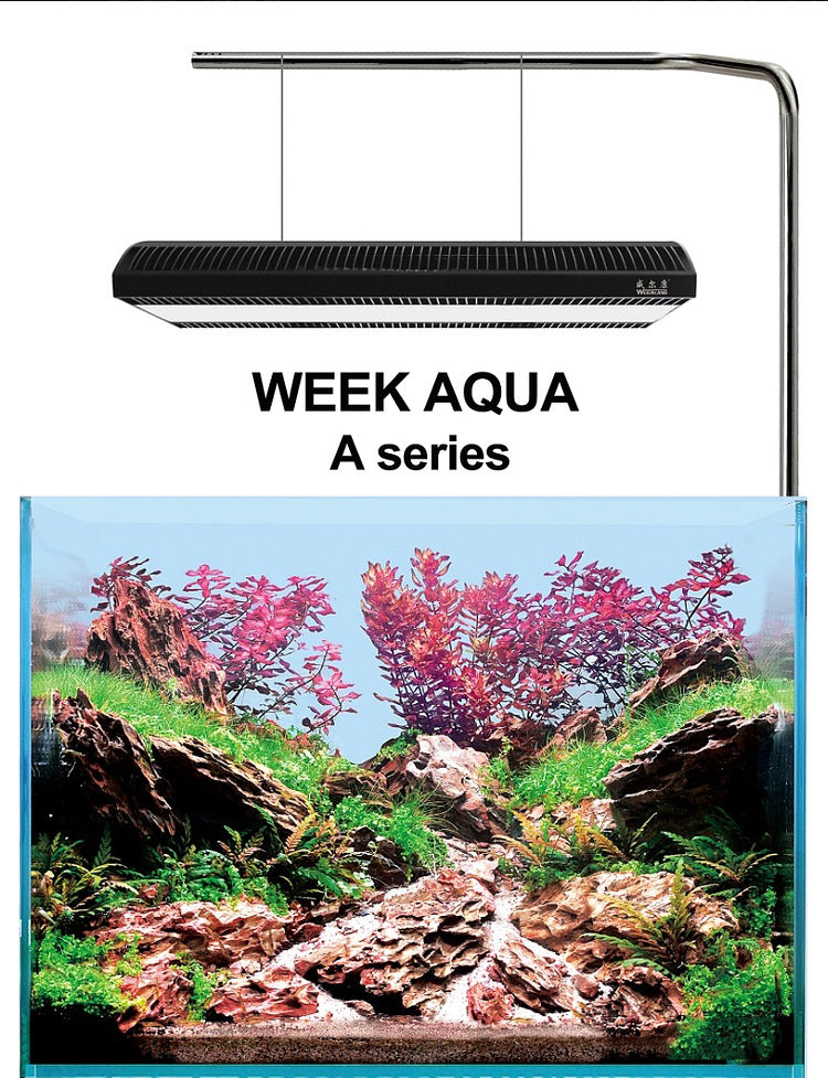 WEEK AQUA A430 PRO 120W