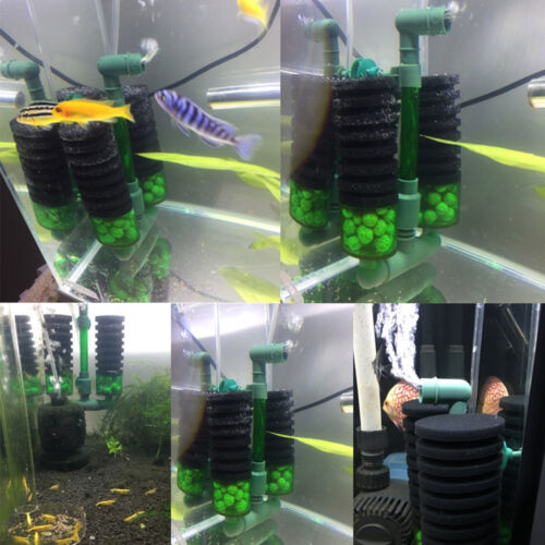 QANVEE QS-100A Aquarium Bio Dual Sponge Filter with added Media chamber for Shrimps
